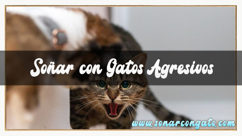 soñar con gatos agresivos