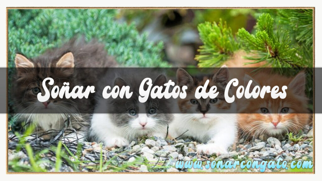 soñar con gatos de colores