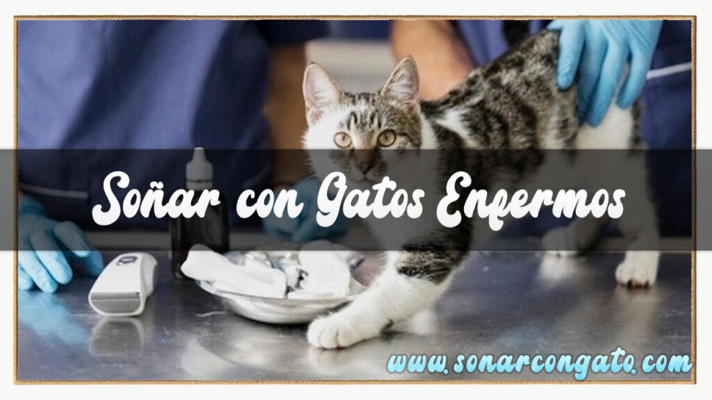 soñar con gatos enfermos