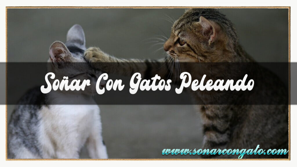 soñar con gatos peleando