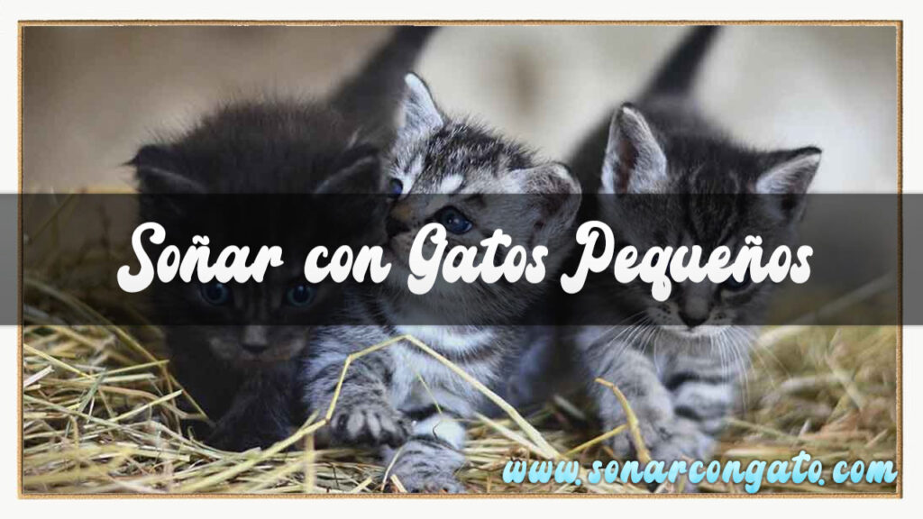 soñar con gatos pequeños
