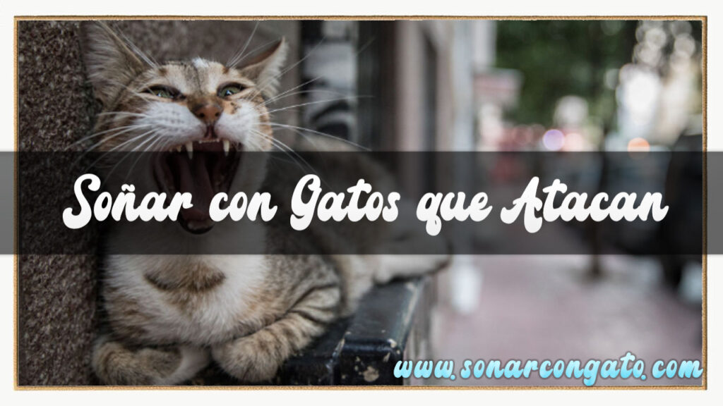 soñar con gatos que atacan