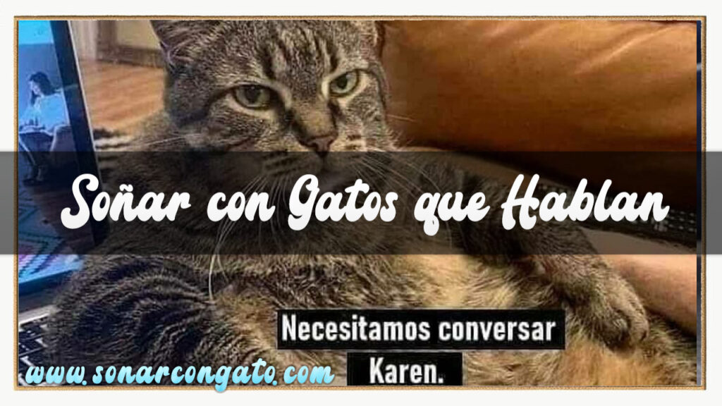soñar con gatos que hablan