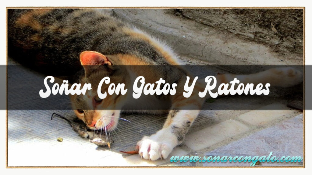 soñar con gatos y ratones