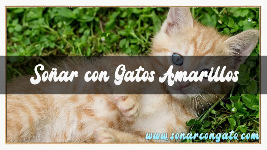 soñar con gatos amarillos
