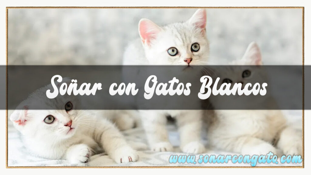 soñar con gatos blancos