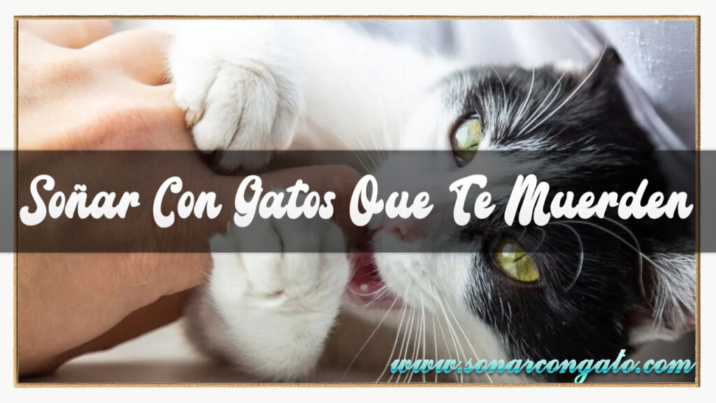 soñar con gatos que te muerden