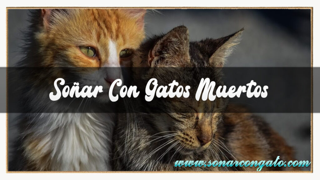 soñar con gatos muertos