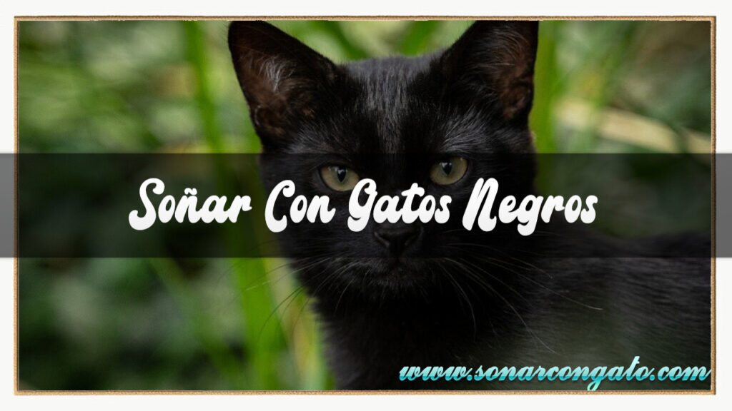 soñar con gatos negros