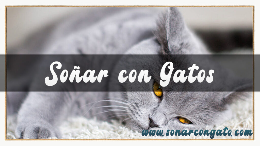 soñar con gatos